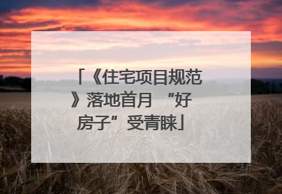 《住宅项目规范》落地首月 “好房子”受青睐