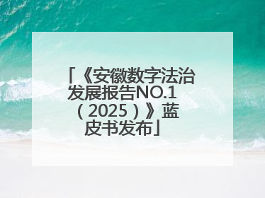 《安徽数字法治发展报告NO.1（2025）》蓝皮书发布