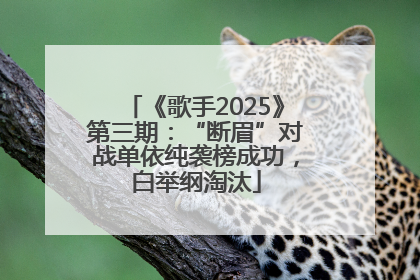 《歌手2025》第三期：“断眉”对战单依纯袭榜成功，白举纲淘汰