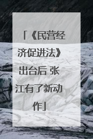 《民营经济促进法》出台后 张江有了新动作