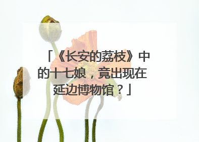 《长安的荔枝》中的十七娘，竟出现在延边博物馆？