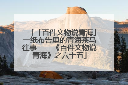 「百件文物说青海」一纸布告里的青海茶马往事——《百件文物说青海》之六十五