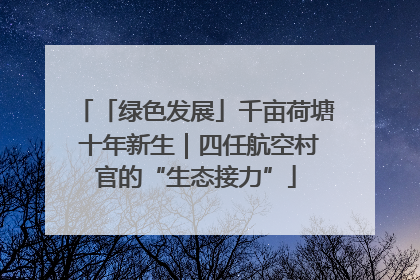 「绿色发展」千亩荷塘 十年新生｜四任航空村官的“生态接力”