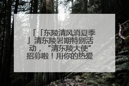 「东陵清风消夏季」清东陵暑期特别活动，“清东陵大使”招募啦！用你的热爱守护世界遗产！