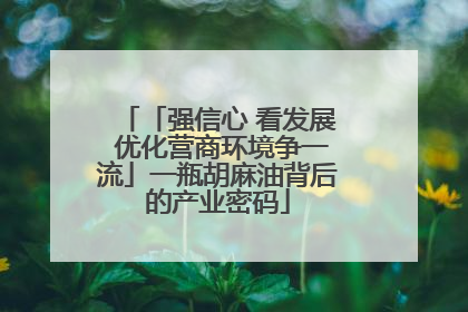 「强信心 看发展 优化营商环境争一流」一瓶胡麻油背后的产业密码
