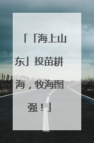 「海上山东」投苗耕海，牧海图强！
