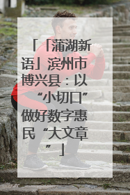 「蒲湖新语」滨州市博兴县：以“小切口”做好数字惠民“大文章”