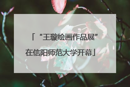 “王璇绘画作品展”在信阳师范大学开幕