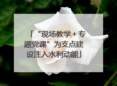 “现场教学＋专题党课”为支点建设注入水利动能
