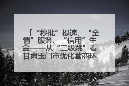 “秒批”提速、“全情”服务、“信用”生金——从“三级跳”看甘肃玉门市优化营商环境的进阶之路