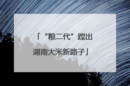 “粮二代”蹚出湖南大米新路子