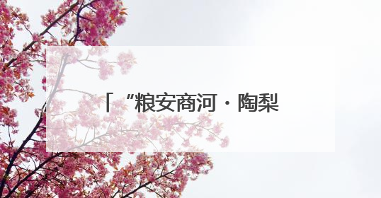 “粮安商河・陶梨留香”：三产融合赋能乡村振兴 跨村联建绘就共富画卷