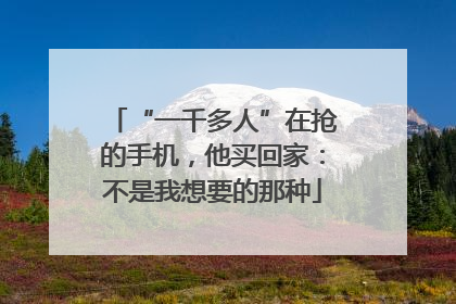 “一千多人”在抢的手机，他买回家：不是我想要的那种