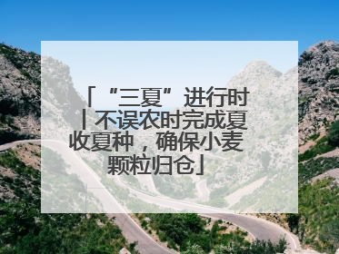 “三夏”进行时丨不误农时完成夏收夏种，确保小麦颗粒归仓