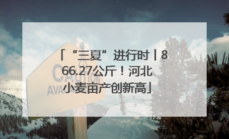 “三夏”进行时丨866.27公斤！河北小麦亩产创新高