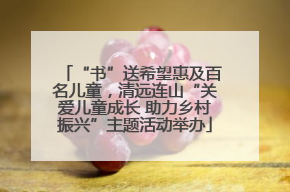 “书”送希望惠及百名儿童，清远连山“关爱儿童成长 助力乡村振兴”主题活动举办