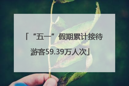 “五一”假期累计接待游客59.39万人次