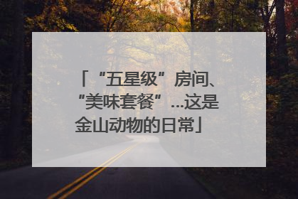 “五星级”房间、“美味套餐”…这是金山动物的日常