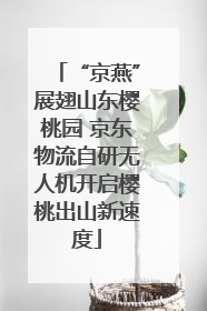 “京燕”展翅山东樱桃园 京东物流自研无人机开启樱桃出山新速度