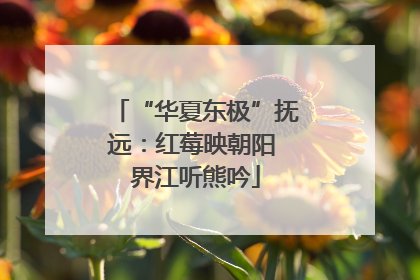 “华夏东极”抚远：红莓映朝阳 界江听熊吟