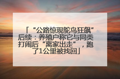 “公路惊现鸵鸟狂飙”后续：养殖户称它与同类打闹后“离家出走”，跑了1公里被找回