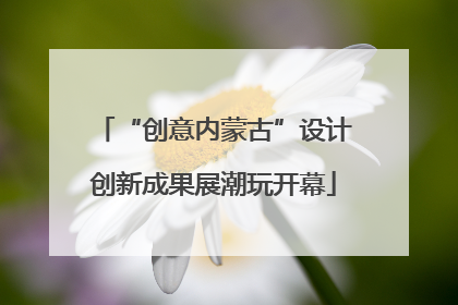 “创意内蒙古”设计创新成果展潮玩开幕