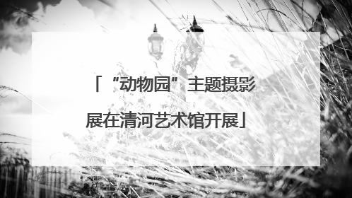 “动物园”主题摄影展在清河艺术馆开展