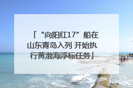 “向阳红17”船在山东青岛入列 开始执行黄渤海浮标任务