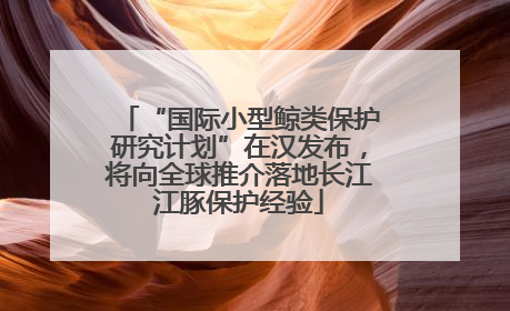 “国际小型鲸类保护研究计划”在汉发布，将向全球推介落地长江江豚保护经验