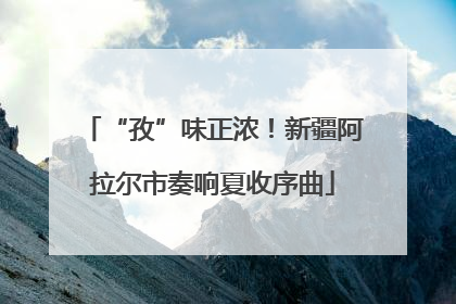 “孜”味正浓！新疆阿拉尔市奏响夏收序曲