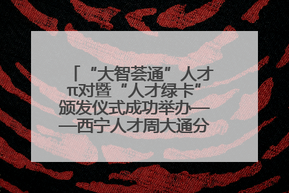 “大智荟通”人才π对暨“人才绿卡”颁发仪式成功举办——西宁人才周大通分会场亮点纷呈