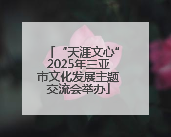 “天涯文心”2025年三亚市文化发展主题交流会举办
