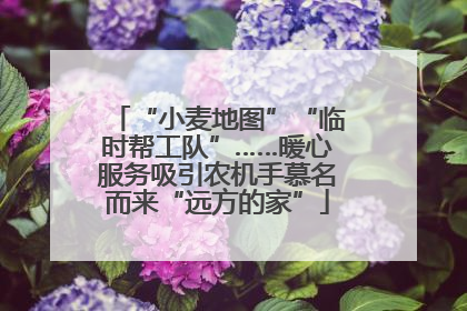 “小麦地图”“临时帮工队”……暖心服务吸引农机手慕名而来“远方的家”
