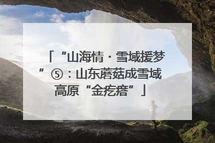 “山海情・雪域援梦”⑤：山东蘑菇成雪域高原“金疙瘩”