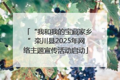 “我和我的宝藏家乡”栾川县2025年网络主题宣传活动启动