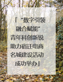 “数字引领 融合赋能”青年科创新锐助力宿迁电商名城建设活动成功举办