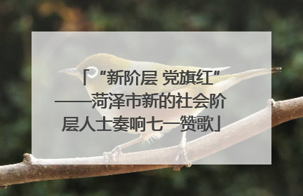 “新阶层 党旗红”——菏泽市新的社会阶层人士奏响七一赞歌