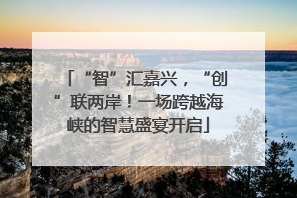“智”汇嘉兴，“创”联两岸！一场跨越海峡的智慧盛宴开启