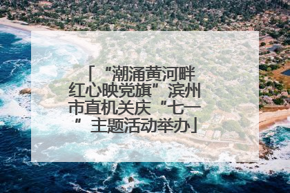 “潮涌黄河畔 红心映党旗”滨州市直机关庆“七一”主题活动举办
