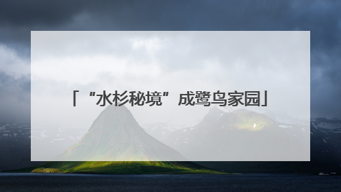 “水杉秘境”成鹭鸟家园