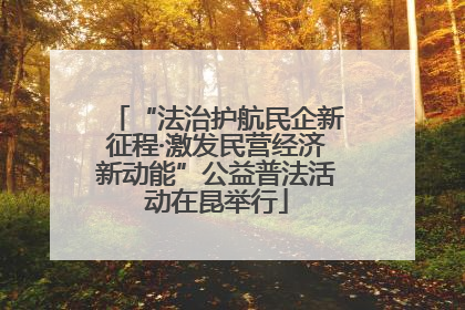 “法治护航民企新征程·激发民营经济新动能”公益普法活动在昆举行