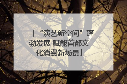 “演艺新空间”蓬勃发展 赋能首都文化消费新场景