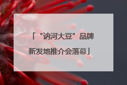 “讷河大豆”品牌新发地推介会落幕