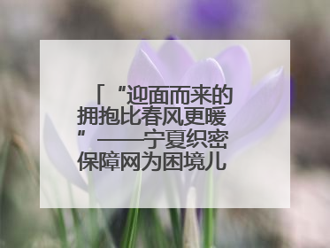 “迎面而来的拥抱比春风更暖”——宁夏织密保障网为困境儿童成长护航