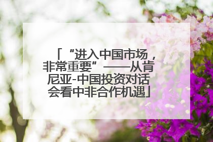 “进入中国市场，非常重要”——从肯尼亚-中国投资对话会看中非合作机遇