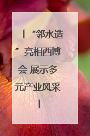 “邻水造”亮相西博会 展示多元产业风采
