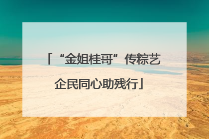 “金姐桂哥”传粽艺 企民同心助残行