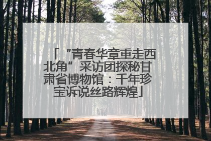“青春华章重走西北角”采访团探秘甘肃省博物馆：千年珍宝诉说丝路辉煌