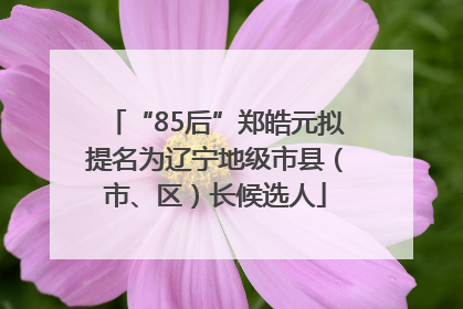 “85后”郑皓元拟提名为辽宁地级市县（市、区）长候选人