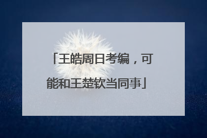 王皓周日考编，可能和王楚钦当同事
